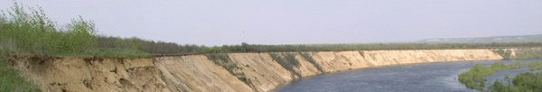 Для вёшенцев и о Вёшенской!